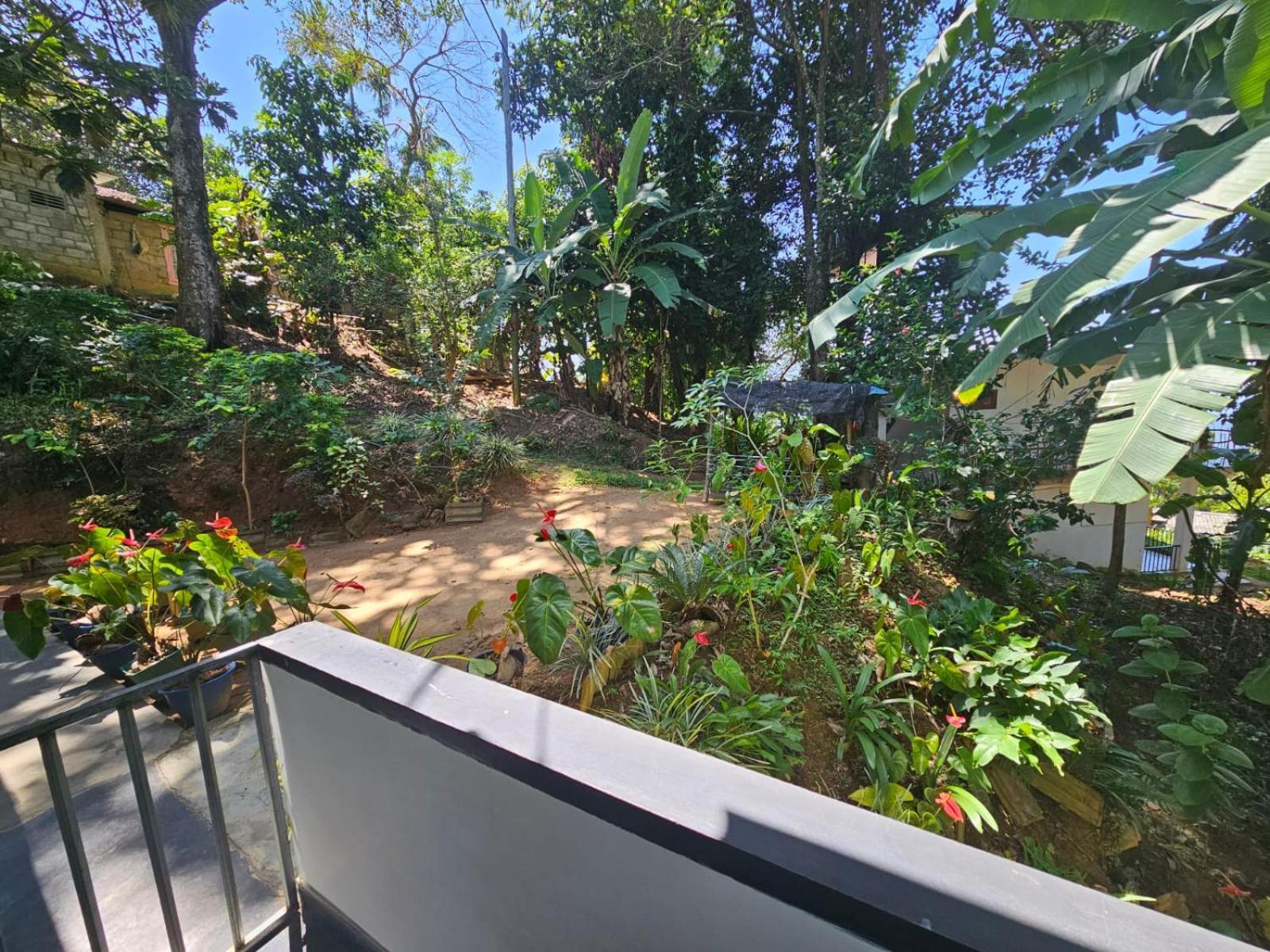 Enthral View Homestay Элла Экстерьер фото